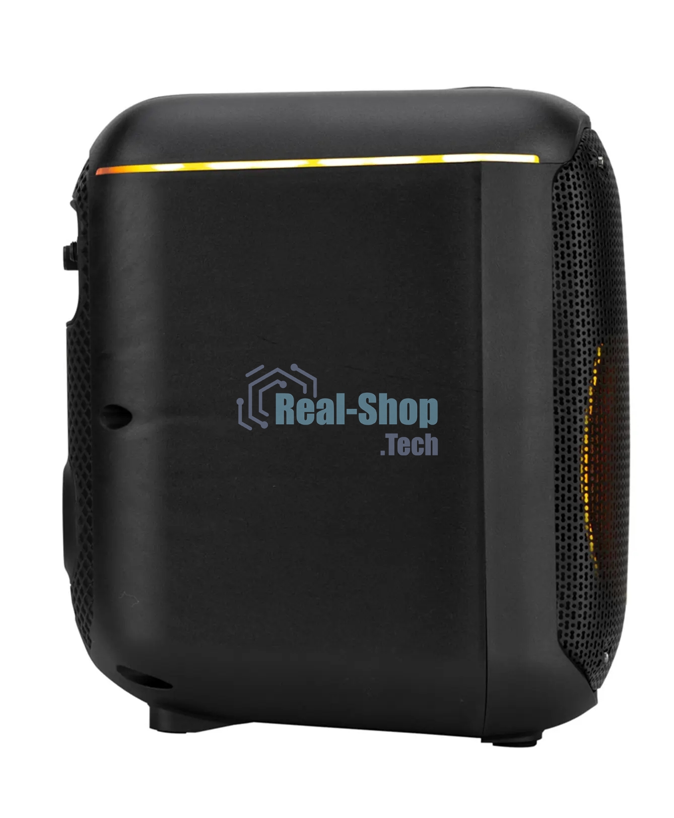 Колонка ELTRONIC 30-79 DANCE BOX 550 - 08