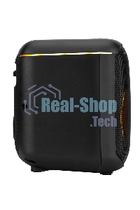 Колонка ELTRONIC 30-79 DANCE BOX 550 - 08