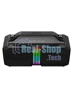 Портативная колонка Smartbuy (SBS-5820) FLYER черный