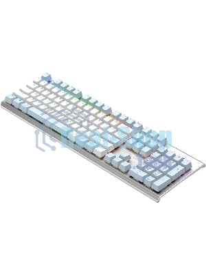 Клавиатура проводная A4Tech Fstyler FS100 Neon, USB, синий/белый