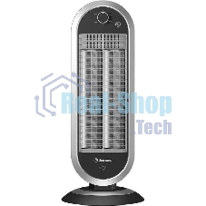 Обогреватель инфракрасный Thermex Espejo ЭдЭБ04307 900Вт серебристый/черный