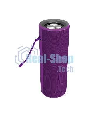 Портативная колонка Soundmax SM-PS5024B(фиолетовый)