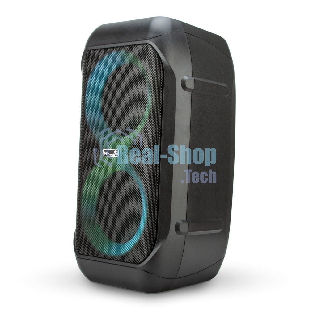 Колонка Eltronic 06