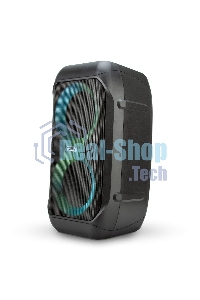 Колонка Eltronic 06