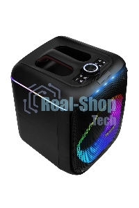 Колонка ELTRONIC 30-79 DANCE BOX 550 - 08