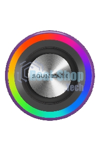Портативная колонка SOUNDMAX SM-PS5024B(фиолетовый)