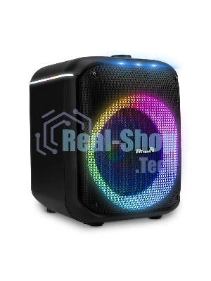 Колонка ELTRONIC 30-79 DANCE BOX 550 - 08