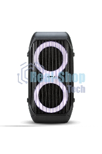 Колонка Eltronic 06