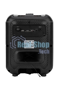 Колонка ELTRONIC 30-79 DANCE BOX 550 - 08