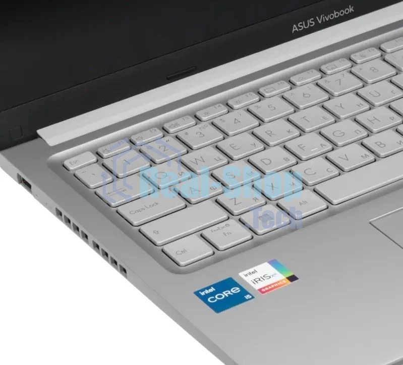 Ноутбук ASUS X1502VA-BQ490/15.6