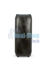 Колонка Eltronic 10