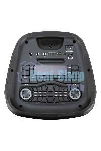 Колонка Eltronic 10