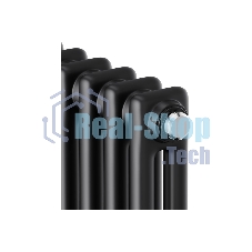 Дизайн-радиатор Royal Thermo Insignia C2180 - 12 секц. RAL9005m