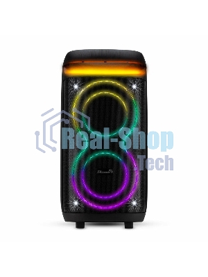 Колонка Eltronic 08
