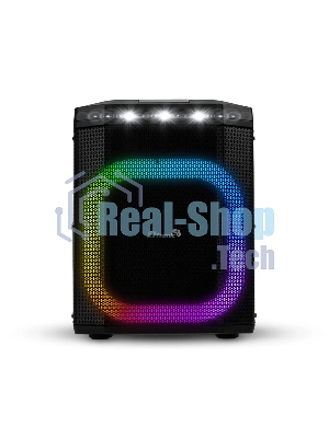 Колонка ELTRONIC 30-81 DANCE BOX 550 - 08