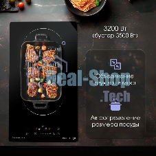 Индукционная варочная панель Zigmund & Shtain CI 29.3 B независимая, черный