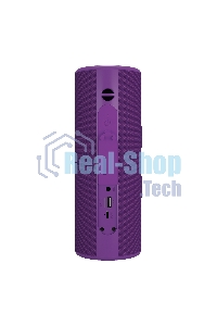 Портативная колонка SOUNDMAX SM-PS5024B(фиолетовый)