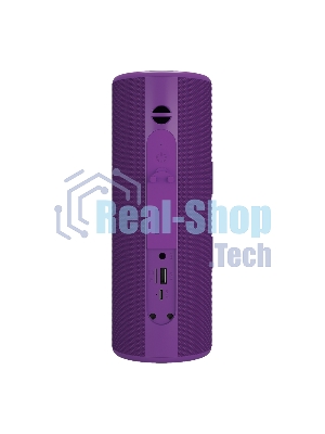 Портативная колонка Soundmax SM-PS5024B(фиолетовый)