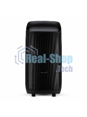 Колонка Eltronic 08