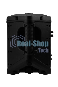 Колонка ELTRONIC 30-81 DANCE BOX 550 - 08