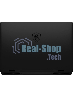 Ноутбук MSI Pulse A16 AI+ C3HWGKG-030XRU/16