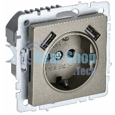 Розетка 1-местная IEK BRITE РЮш10-1-БрШ (BR-R14-16-U21-D21-K37) 16А, с USB A+A 2.1А, с заземлением, с защитными шторками, шампань