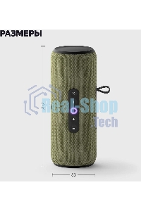 Умная колонка Yandex Стрит Алиса зеленый 30W 2.0 BT/Wi-Fi 10м 3300mAh (YNDX-00030GRN)