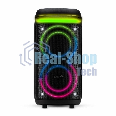 Колонка ElTRONIC 08