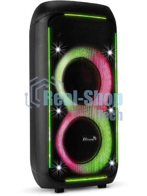 Колонка Eltronic 08