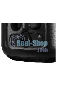 Портативная колонка SVEN PS-880, черный, 1.0, 110 Вт (RMS), Bluetooth, FM, USB, microSD, LED-дисплей, аккумулятор