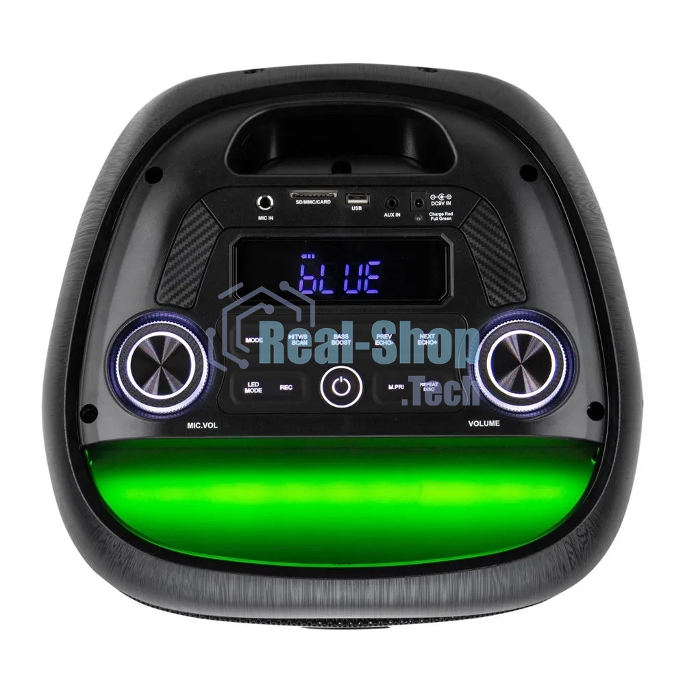 Колонка Eltronic 08