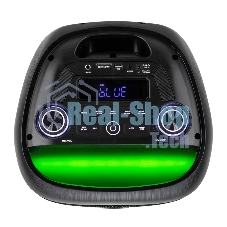 Колонка Eltronic 08