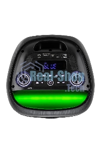 Колонка Eltronic 08