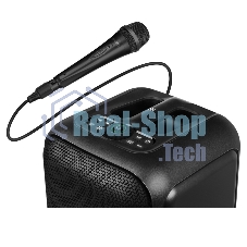 Портативная колонка SVEN PS-880, черный, 1.0, 110 Вт (RMS), Bluetooth, FM, USB, microSD, LED-дисплей, аккумулятор