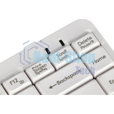 Клавиатура проводная A4Tech Fstyler FK11 USB белый