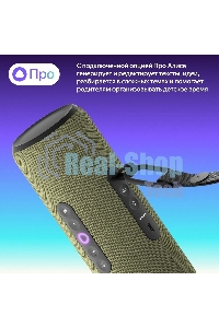 Умная колонка Yandex Стрит Алиса зеленый 30W 2.0 BT/Wi-Fi 10м 3300mAh (YNDX-00030GRN)