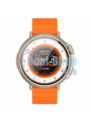 Умные часы HOCO (6942007605250) Y18 1.52 Gold