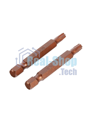 Бита EDGE by PATRIOT T25, сталь S2, длина 50 мм, 2шт в блистере