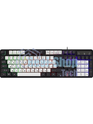Клавиатура проводная Defender Dark Knight R GK-077, USB, черный/белый