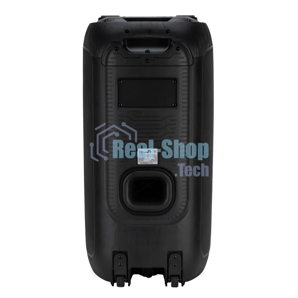 Колонка Eltronic 08