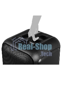 Портативная колонка SVEN PS-880, черный, 1.0, 110 Вт (RMS), Bluetooth, FM, USB, microSD, LED-дисплей, аккумулятор