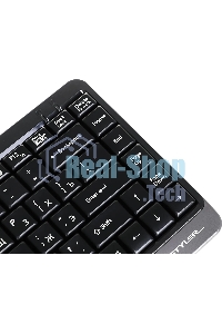Клавиатура проводная A4Tech Fstyler FK11 USB серый/черный