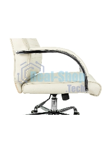 Кресло руководителя Бюрократ T-8010SL/IVORY слоновая кость, искусственная кожа, крестовина хром