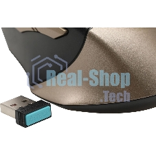 Мышь беспроводная A4Tech Fstyler FG35 золотистый/черный, 2000 dpi, радиоканал, USB, кнопки - 6