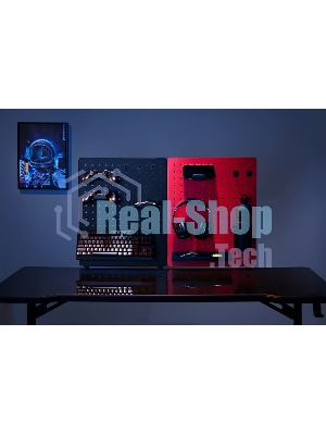 Органайзер Cactus CS-PEGb-RDBK черный/красный