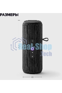 Умная колонка Yandex Стрит Алиса черный 30W 2.0 BT/Wi-Fi 10м 3300mAh (YNDX-00030BLK)