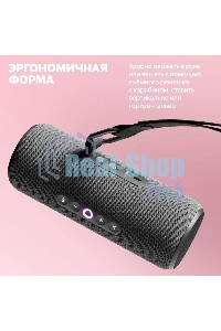 Умная колонка Yandex Стрит Алиса черный 30W 2.0 BT/Wi-Fi 10м 3300mAh (YNDX-00030BLK)