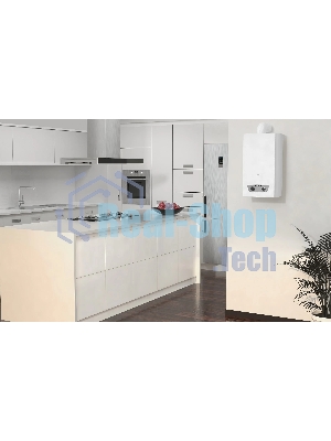 Газовая колонка Ariston Fast R ONM 10, газовый