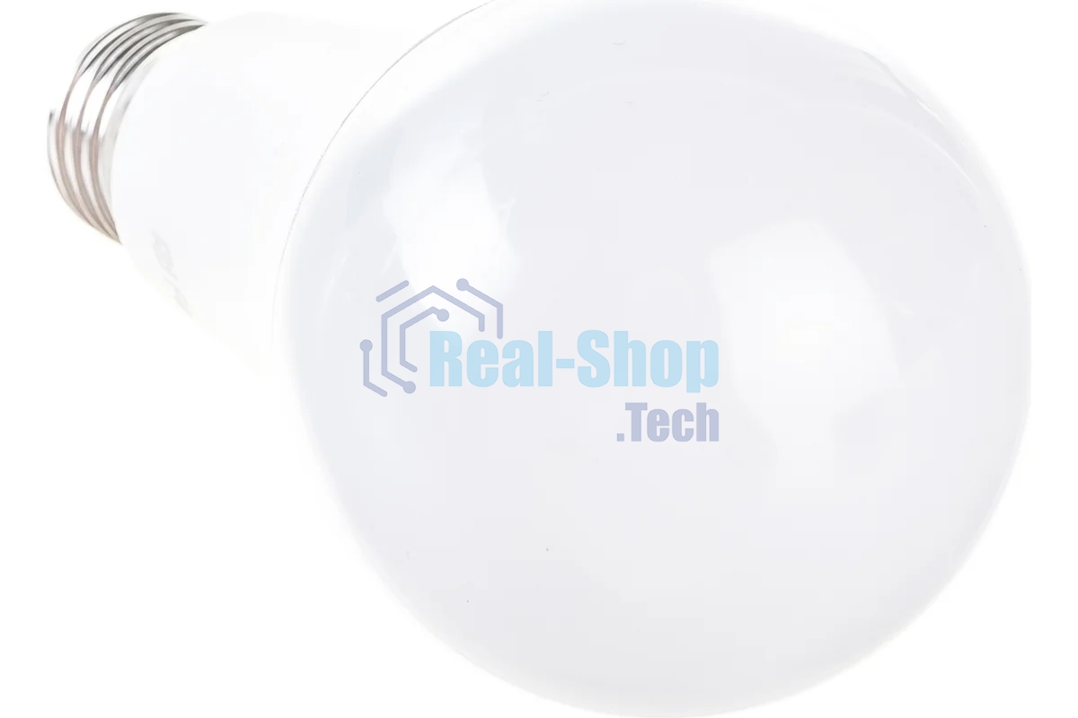 Лампа светодиодная Feron LB-100 (25792) 25W 230V E27 6400K A65