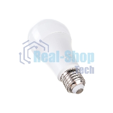 Лампа светодиодная Feron LB-100 (25792) 25W 230V E27 6400K A65